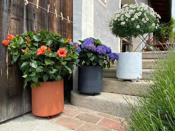 terraced® - 4er Set - Blumentopf Untersetzer - Farbe: Terrakotta