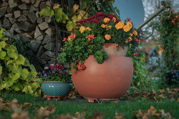 terraced® - 4er Set - Blumentopf Untersetzer - Farbe: Terrakotta